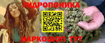 сатива Ставрополь